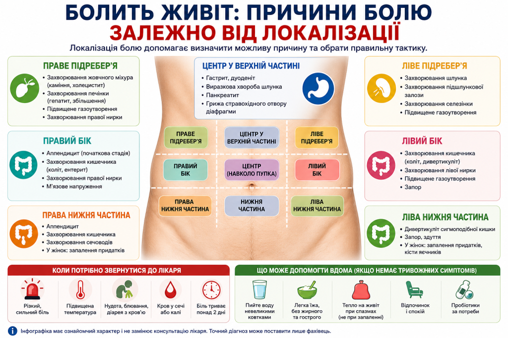 Інфографіка з ділянками живота, можливими причинами болю, тривожними симптомами та способами допомоги вдома
